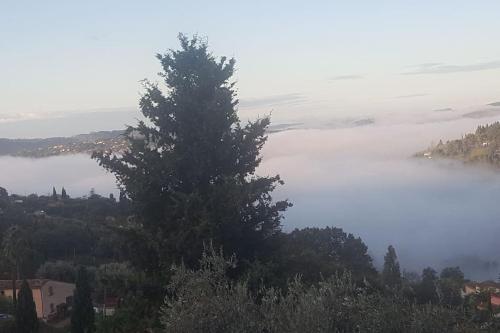 Paesaggio naturale nelle vicinanze dell'appartamento