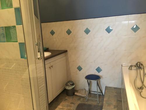 une salle de bain avec une douche, un lavabo et un tabouret dans l'établissement Gite d Espenels, à Creysse