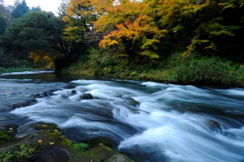 a river with rapids on the rocks and trees at Shirasagiyu Tawaraya in Kaga