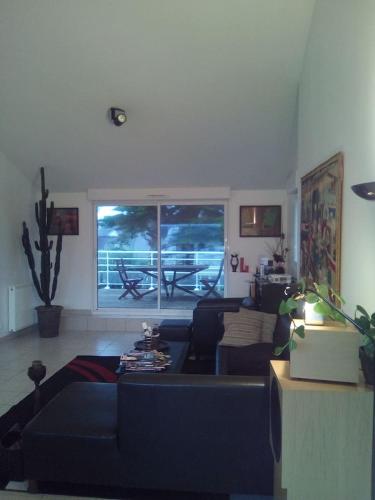 Grand T2 50m plage vue sur mer