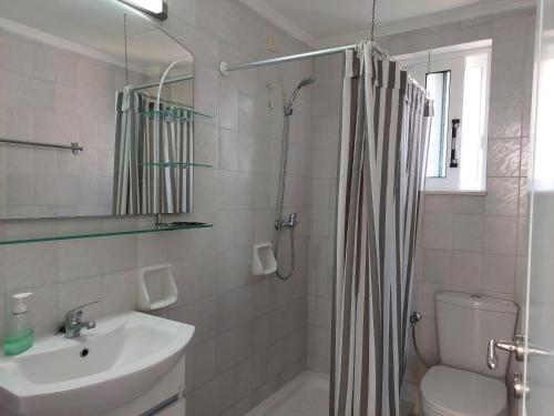 a bathroom with a shower and a sink and a toilet at Alexia Apartments & Studios in Kremasti