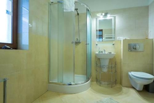 a bathroom with a shower and a toilet and a sink at WHY NOT Apartamenty rodzinne PANORAMA, ul. Rysulówka 138 i 138A in Kościelisko