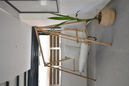 a plant on a shelf in a room with a window at Anassa Suites in Leptokaria