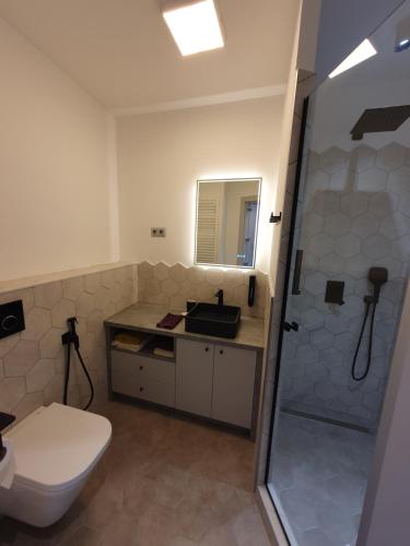 a bathroom with a toilet and a sink and a shower at Modern top floor loft with balcony in Budapest