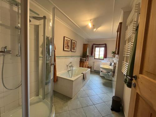 een badkamer met een bad, een douche en een wastafel bij Ferienwohnung im Erzgebirge in Großhartmannsdorf
