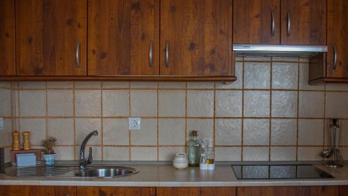 um balcão de cozinha com um lavatório e armários de madeira em Casa Rural Valle de los Molinos em El Cristo del Espíritu Santo