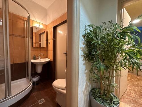 a bathroom with a toilet and potted plants in it at Escape to Paradise - Experience Luxury and Serenity at Villa Elina in Sithonia in Metókhion Ayías Kiriakís