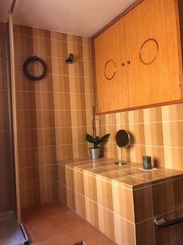 a kitchen with wooden cabinets and a potted plant at Casa elegante in centro a Paglieta in Paglieta