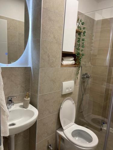 Koupelna v ubytování Luxury Apartment Suljic
