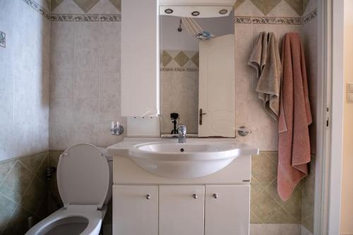 Thetis Luxury Apartment في ساموس: حمام مع حوض أبيض ومرحاض