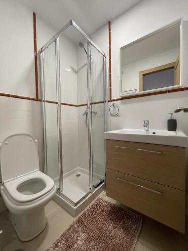 a bathroom with a shower and a toilet and a sink at Casa Rosa Nova in Marbella