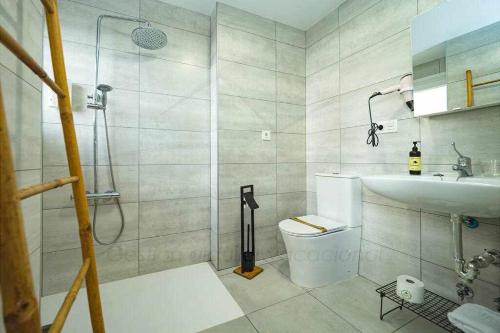a bathroom with a shower and a toilet and a sink at La Capilla Apartamento in Oviedo