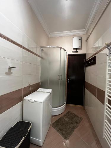 Koupelna v ubytování Apartman Sasha 1 - Ask for free parking