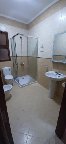 a bathroom with a shower and a sink and a toilet at Appart hassan in Fnidek