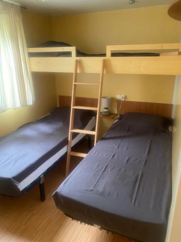 - 2 lits superposés dans un dortoir avec une échelle dans l'établissement Mobil home Aluna Vacances camping Sunêlia, à Ruoms
