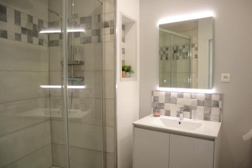 ein Bad mit einer Dusche, einem Waschbecken und einem Spiegel in der Unterkunft L'Escapade Tropicale in Bourbourg