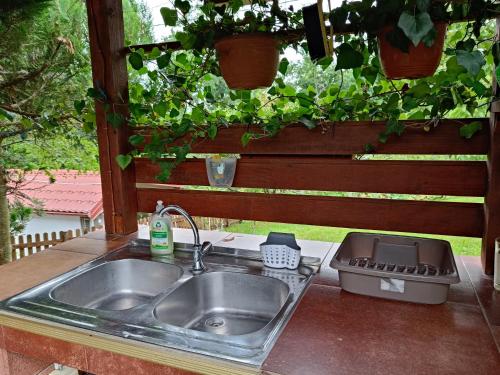 un fregadero de cocina con jardín en el patio trasero en Haus Viktoria near Banja Luka en Banja Luka