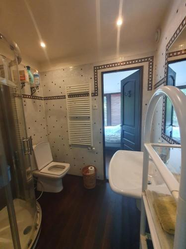 une salle de bain avec toilettes, lavabo et douche dans l'établissement Maison en pierre dans son nid de verdure, à Roz-Landrieux