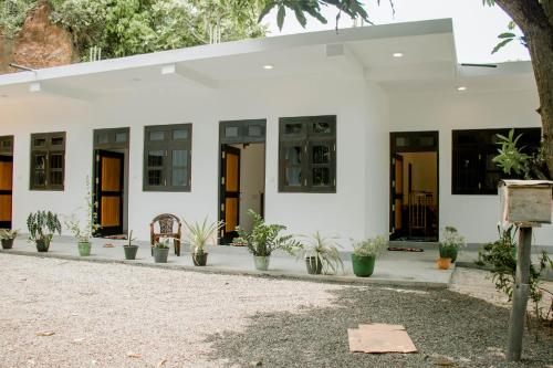 Un edificio blanco con plantas en macetas delante. en Navodya Guest Mirissa, en Mirissa