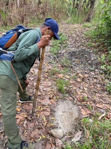 a man with a backpack holding a stick on a trail at Happy Lemon Tree lodge in Sauraha