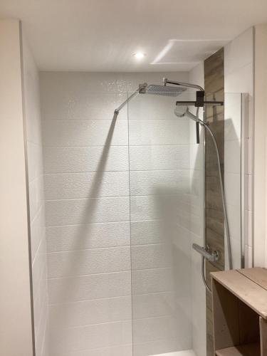 a shower with a glass door in a bathroom at La Mamone in Ornans