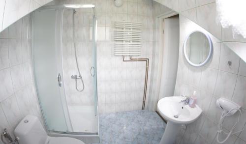 a bathroom with a shower and a toilet and a sink at Baza w Bieszczady in Solina
