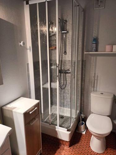 une salle de bain avec douche et toilettes dans l'établissement appartement rénové bord de mer Boramars, à Argelès-sur-Mer
