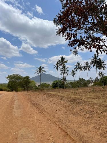 a dirt road with palm trees in the distance at Wagawimbi Villa 560 m2, Breathtaking View of the Indian Ocean, Kenya in Shimoni