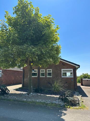 a brick house with a tree in front of it at Beach House in Filey