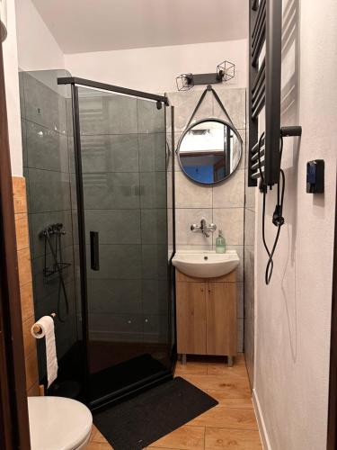a bathroom with a shower and a sink at Bory Tucholskie Domek Starzyska in Osówek