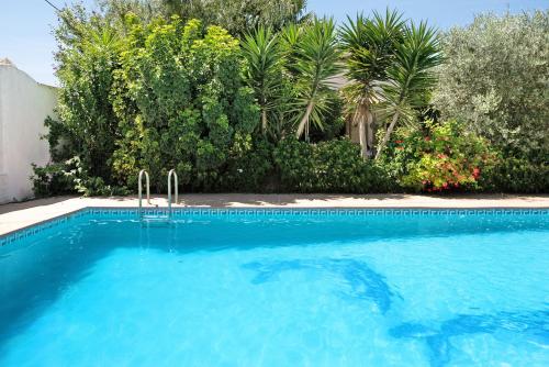a large blue swimming pool with trees and plants at Casa Paqui 2 in Roche
