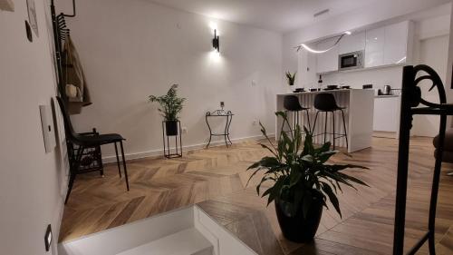 sala de estar y cocina con maceta en BEAUTIFUL APARTMENT,AMAZING VIEW,parking! en Dubrovnik
