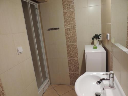 a bathroom with a shower and a toilet and a sink at Domek letniskowy nad jeziorem Dadaj na Mazurach in Biskupiec