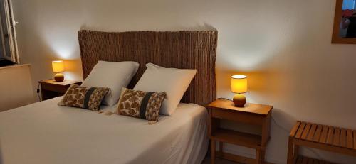 ein Schlafzimmer mit einem Bett mit zwei Lampen an Tischen in der Unterkunft Domaine De L'aube Des Temps in Raissac-dʼAude