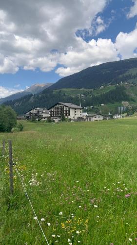 Gallery image of Bed and Breakfast Darlux in Bergün