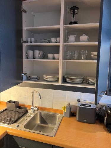 una cocina con fregadero y un estante con platos en Apartment Studio Green line, en Bannewitz