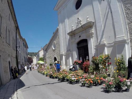 a group of flowers in front of a building at Maison Carles BnB in La Colle-sur-Loup