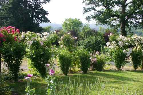 un jardín con flores y árboles rosas y blancos en La Maison des Roses, en Mareuil-sur-Lay