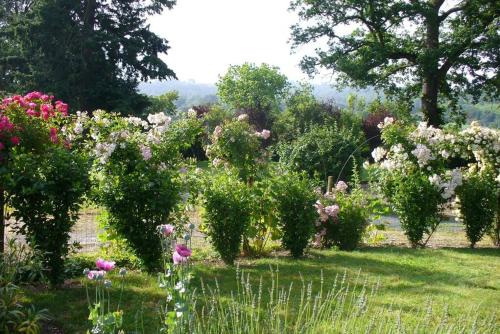a garden with pink and white flowers and trees at La Maison des Roses in Mareuil-sur-Lay