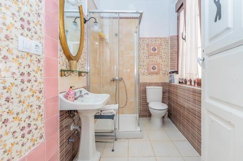 a bathroom with a sink and a shower and a toilet at Los Balcones del Camino in Sahagún
