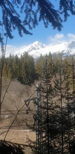 a view of a snow covered mountain in a forest at Chata pod zubačkou in Tatranska Strba