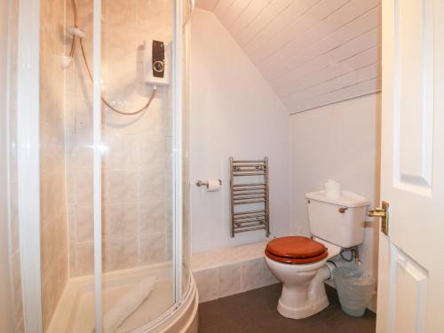 a bathroom with a toilet and a shower at Shoreline House in Fraserburgh