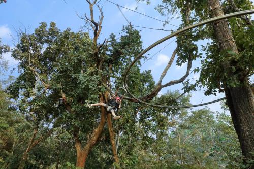 a man is hanging from a tree at Whistling Woodzs Resort in Dandeli