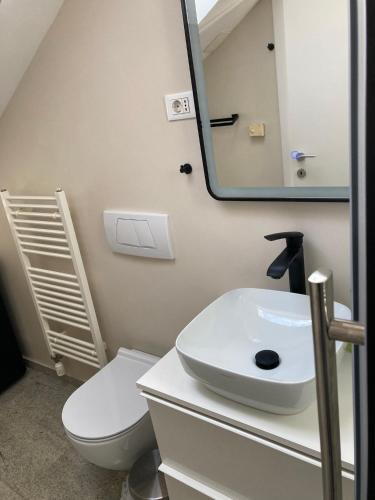 a bathroom with a sink and a toilet and a mirror at Homestay Free Park&Bikes in Ljubljana