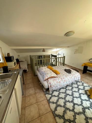 1 dormitorio con 1 cama en medio de una cocina en Face au canal du midi, en Carcassonne