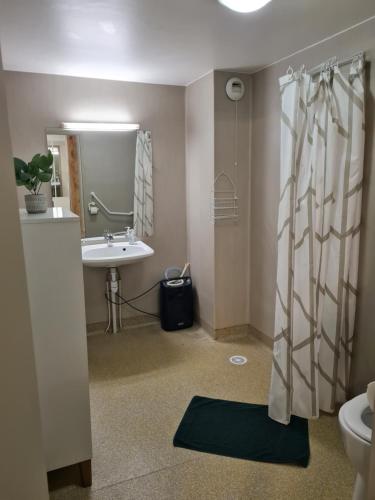 bagno con lavandino, servizi igienici e specchio di Appartement Rez-de-jardin Terrasse ad Aulus-les-Bains