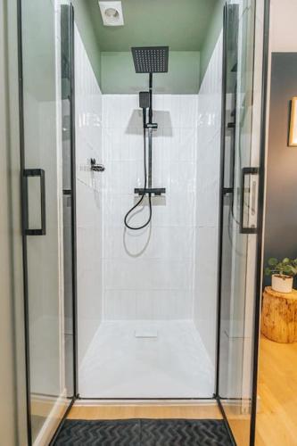 une douche avec une porte vitrée dans une salle de bain dans l'établissement Vieux Lille Village Cottage, à Lille