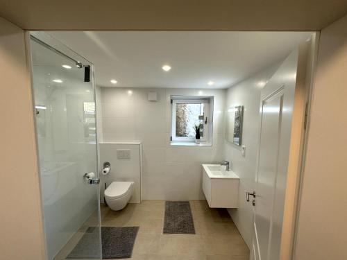 a bathroom with a shower and a toilet and a sink at Deluxe Double Rooms Helfant Luxembourg 