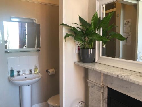 a bathroom with a sink and a potted plant on a fireplace at Carena House in Canterbury