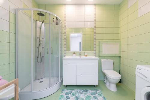 a bathroom with a shower sink and a toilet at Kaubamaja Apartment in Tallinn
